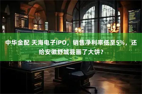 中华金配 天海电子IPO，销售净利率低至5%，还给安徽舒城县画了大饼？